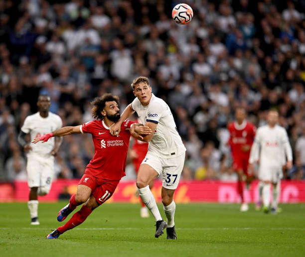 维尔纳在人 维尔纳在人